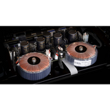 Matrix Audio MS-1  inside peak